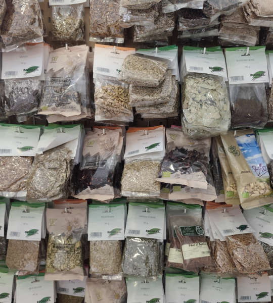 Plantas_Medicinales_Belarrak